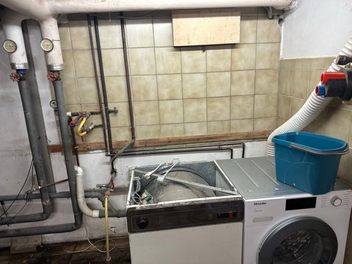 waschmaschine ausgebaut